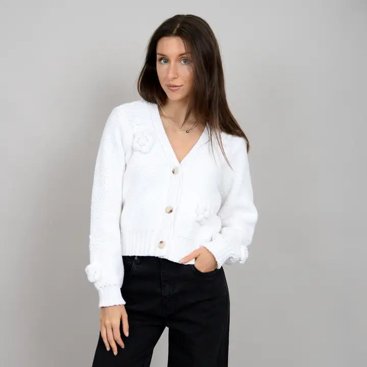 Lysandra long sleeve V-Neck cardi